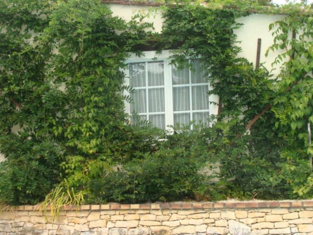 Le Guinguetton Chambre D'Hotes Prigonrieux Exterior foto